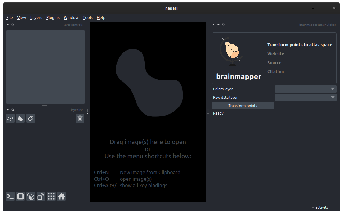 brainmapper widget