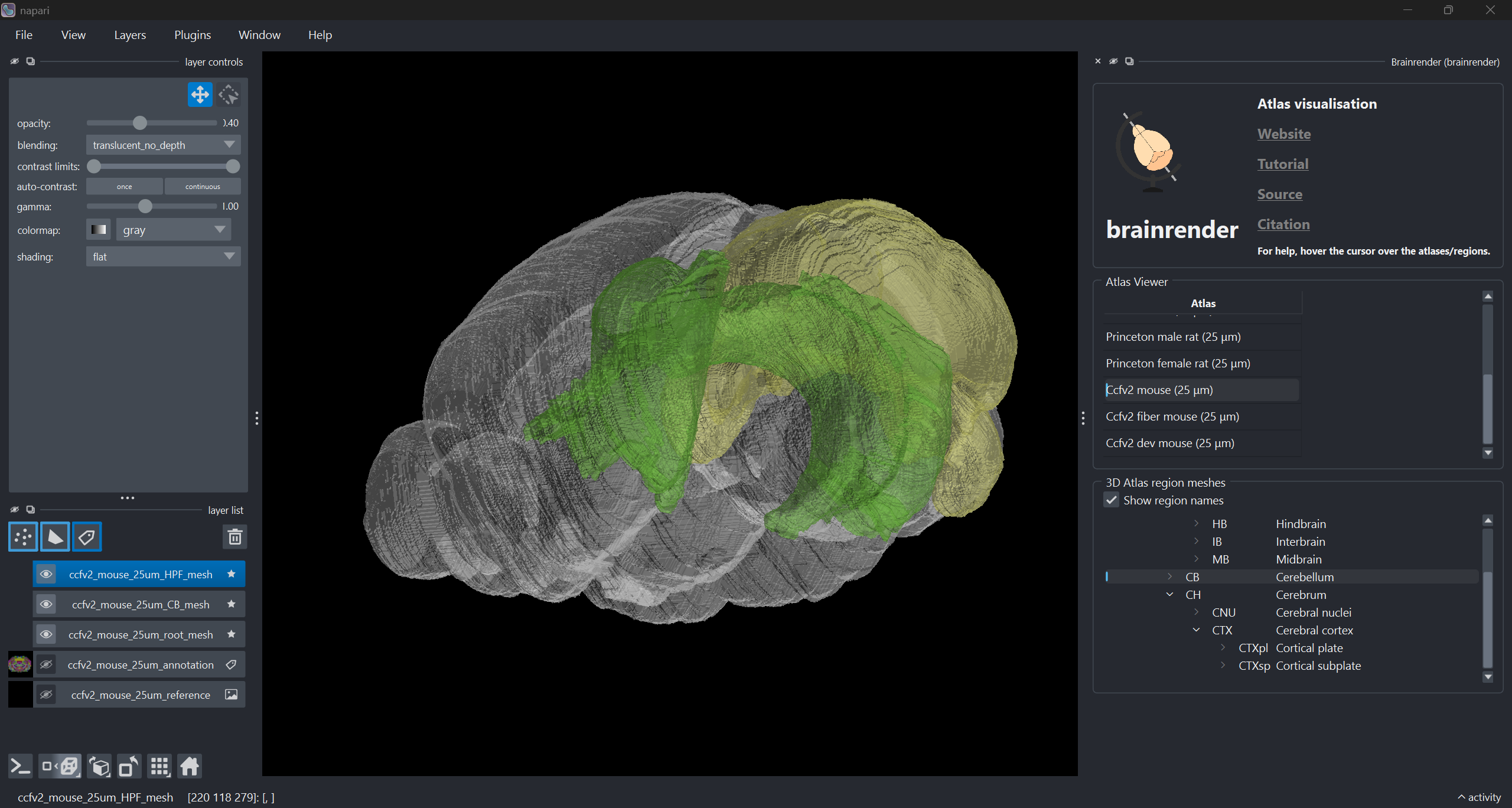 ccfv2 mouse brain atlas visualised in napari