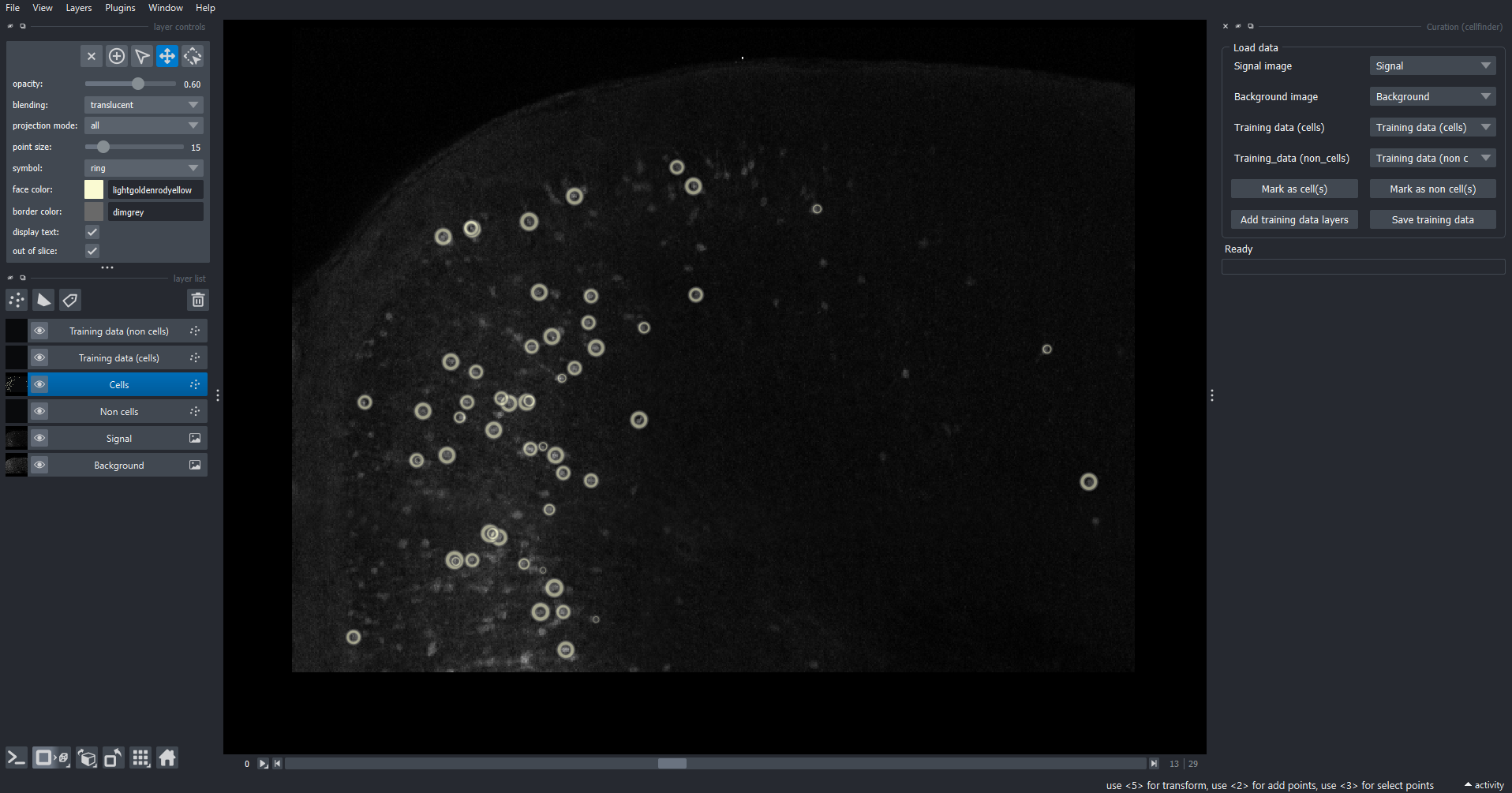 cellfinder curation widget