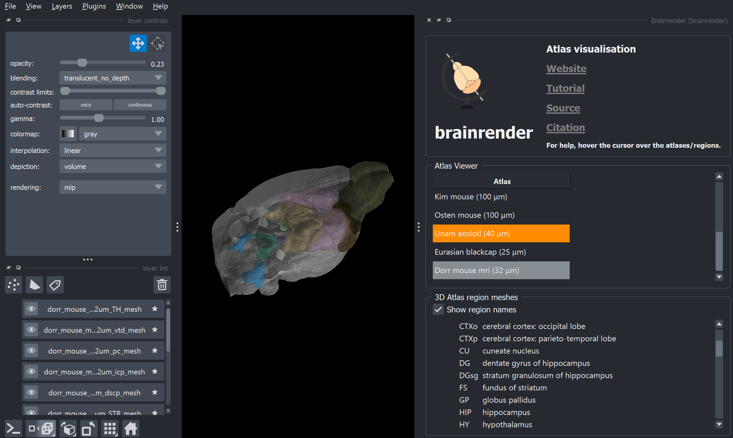 Dorr atlas visualised in napari