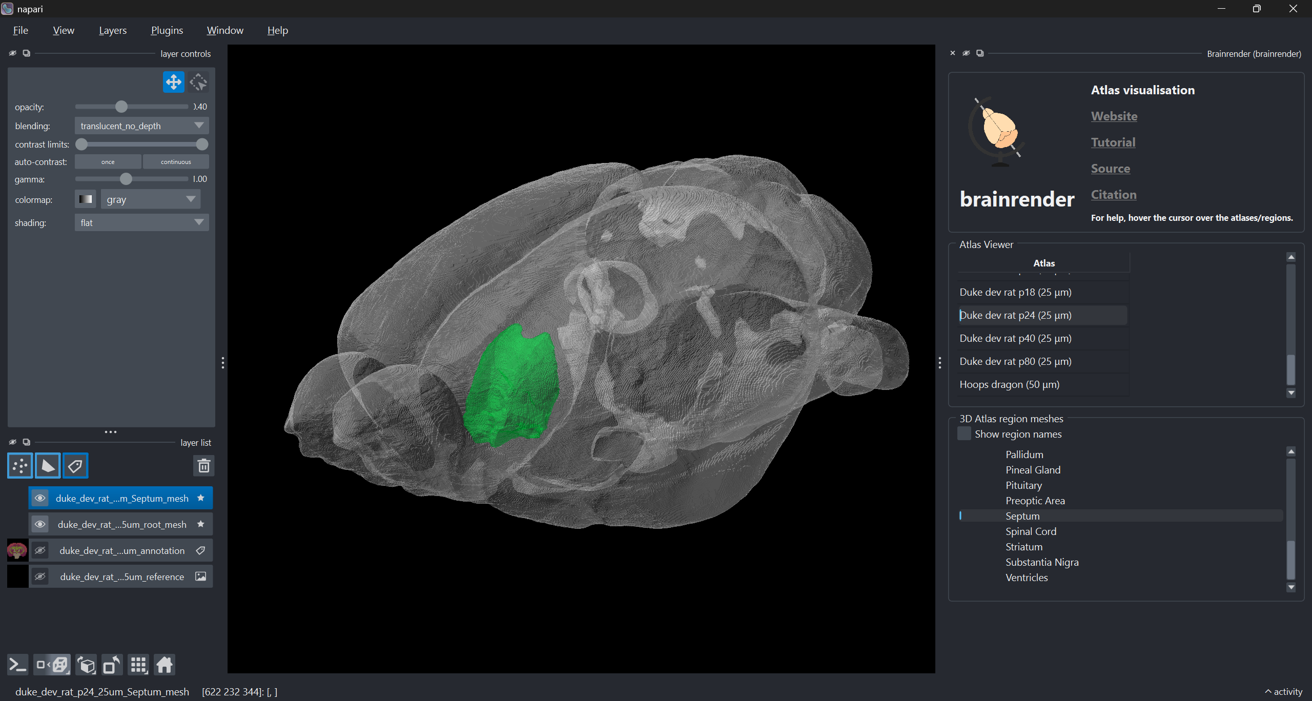 duke dev p24 rat brain atlas visualised in napari