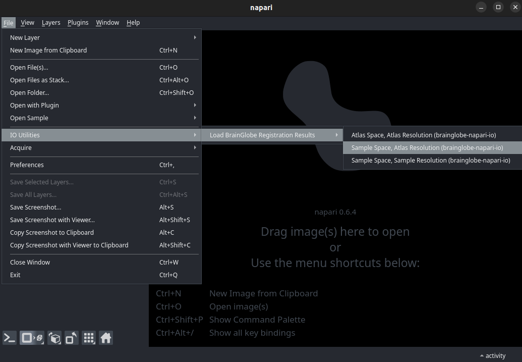 Load Brainreg Results via Napari IO Utilities