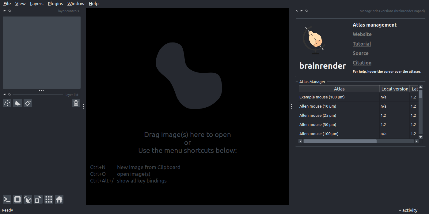 brainrender widget