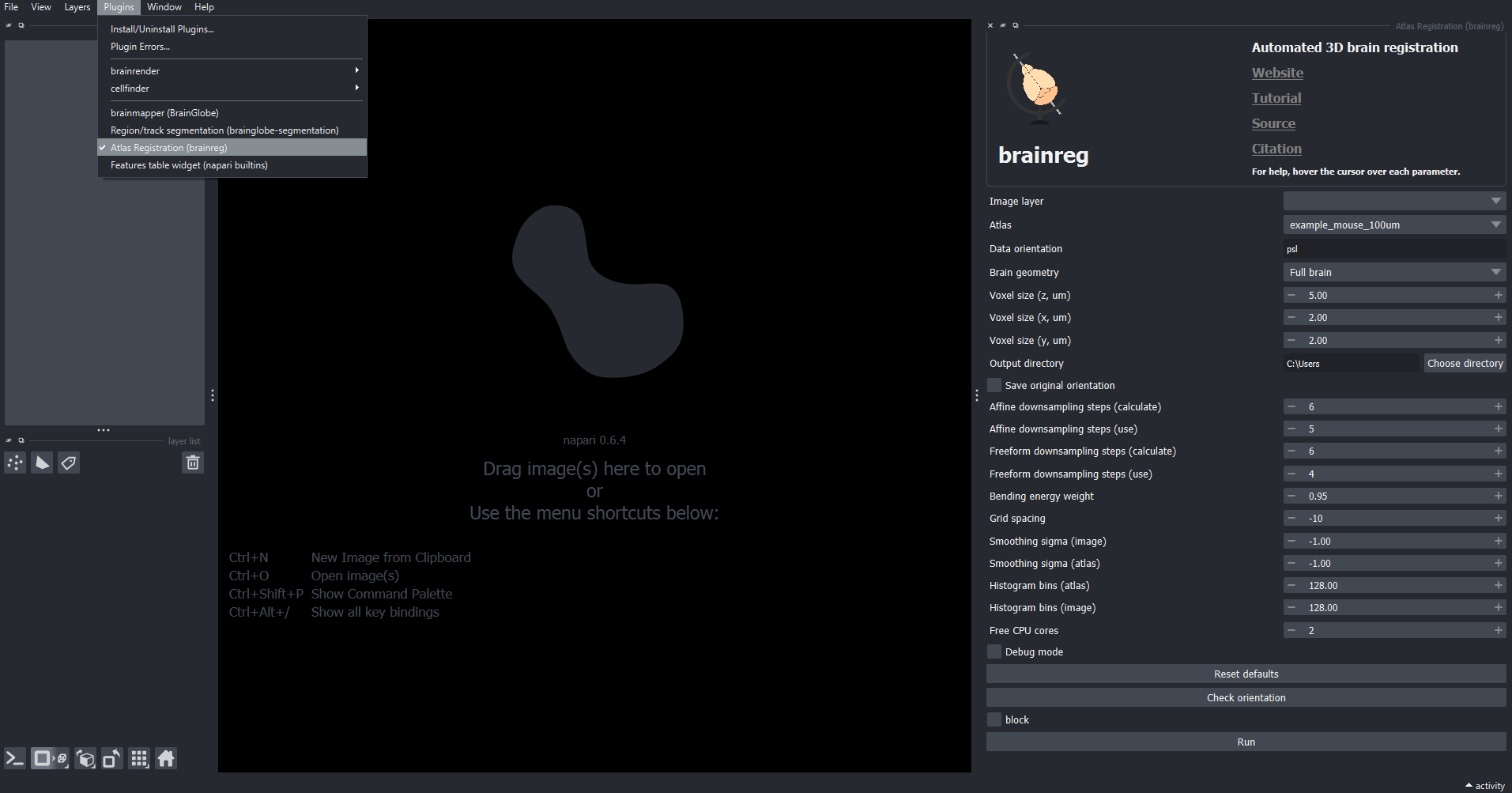 brainreg widget