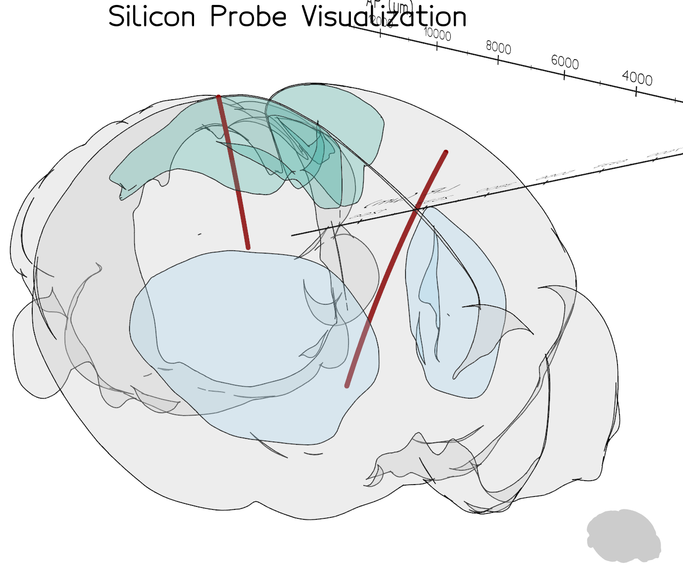 brainrender visualisation