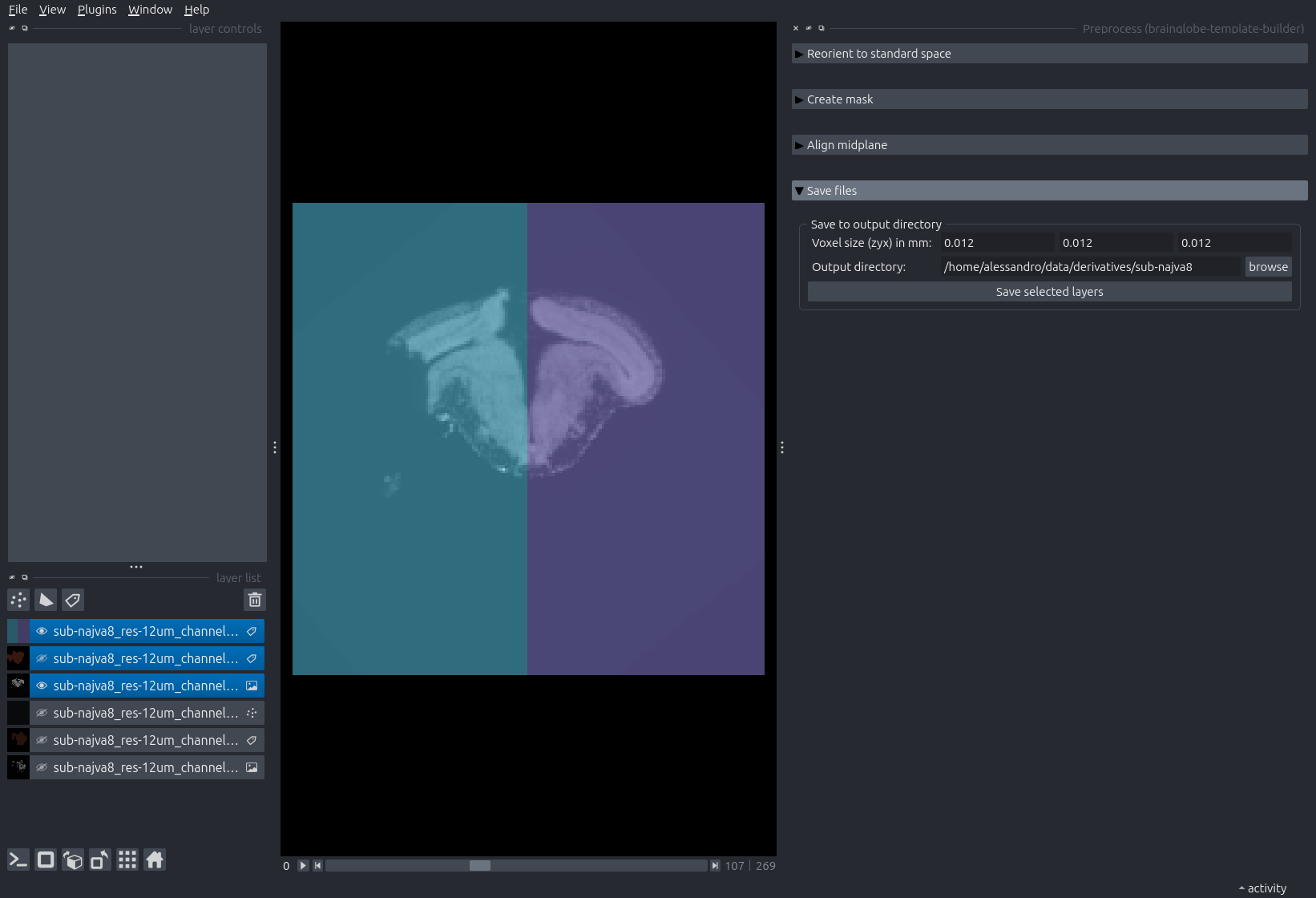 Napari showing the process of saving the aligned layers