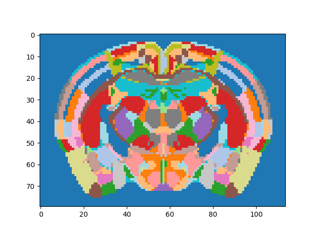 brainglobe atlasapi