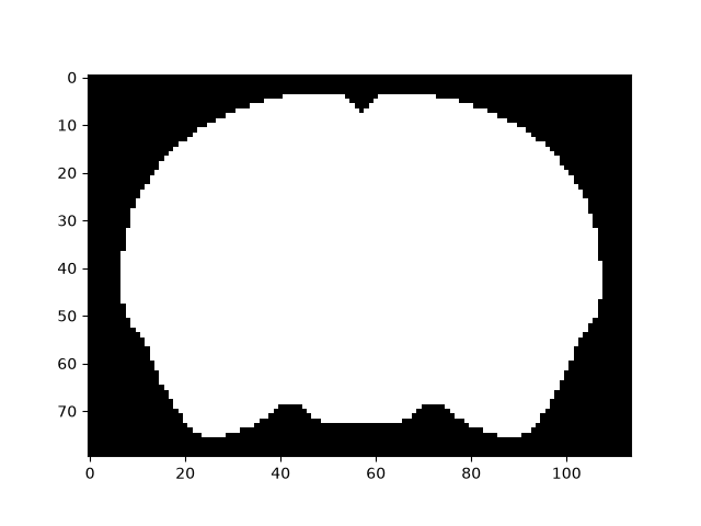 brainglobe atlasapi example