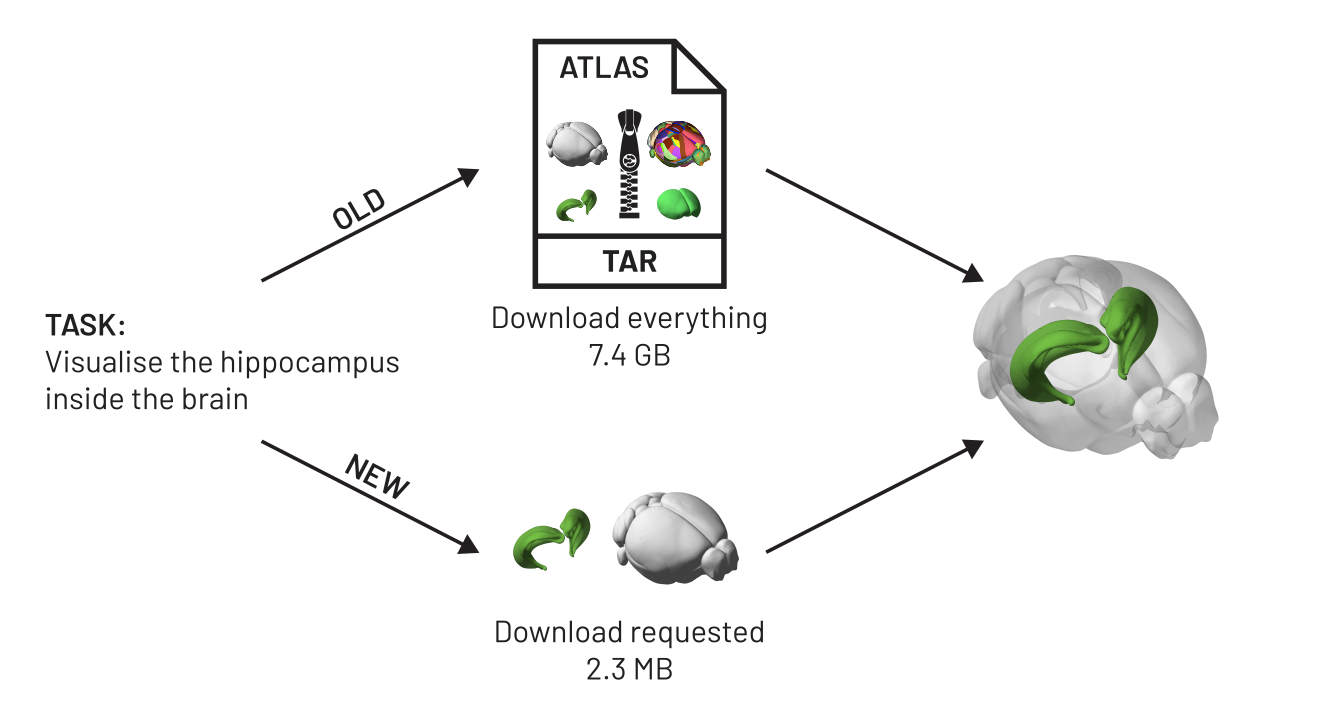 Two routes to the same result for the task "visualise the hippocampus inside the brain". The old route downloads the whole atlas as a single 7.4 GB TAR archive containing every image and mesh. The new route downloads only the requested hippocampus and root meshes, 2.3 MB. Both end at the same rendering of a green hippocampus inside a transparent brain.